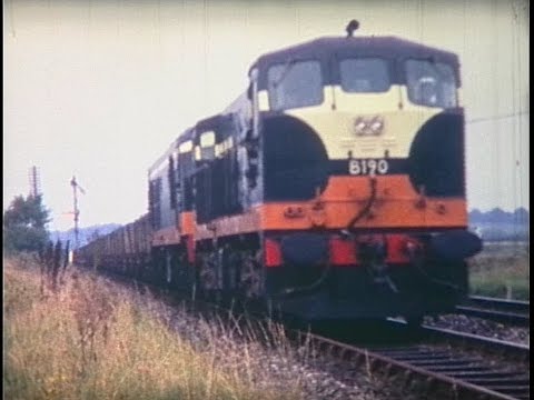 CIÉ - Passenger + Freight trains @ Waterford West (1971)