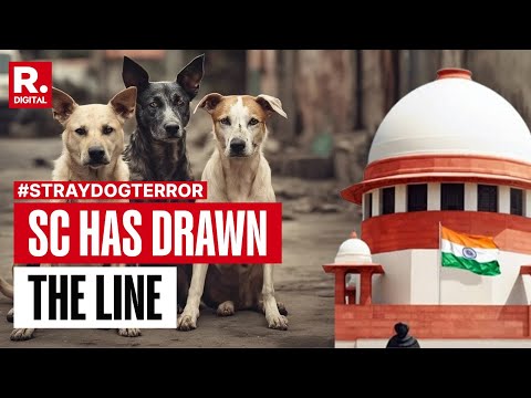 Why is the Supreme Court So Concerned About The Stray Dog Attacks? Asks Arnab
