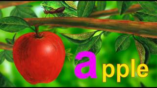 Learn the ABCs in Lower-Case:  a  is for ant and a