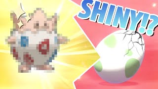 Pokemon: Sword | Reaction - Shiny Togepi!