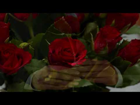 INESSA GALANTE 58th tribute. My tittle , Roses for Rose Inessa  "Un Ballo in Maschera" Verdi