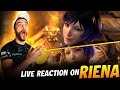The Mishima Queen's Trailer Reaction at Evo Tekken 8 Showcase | #reina #tekken8