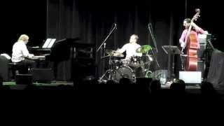Emil Brandqvist Trio live in St. Ingbert