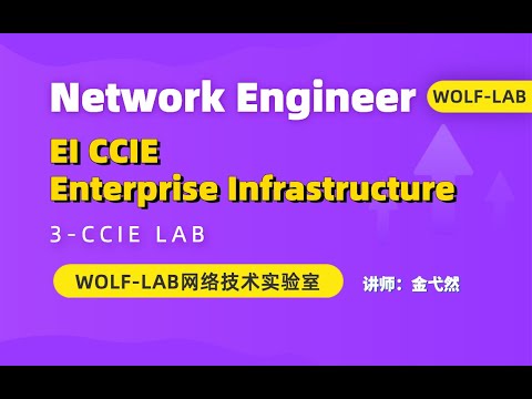 WOLFLAB offers the latest CCIE EI Lab solutions and workbooks！