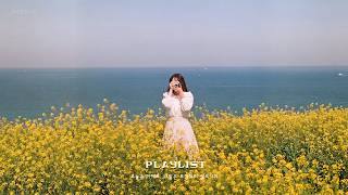 [𝑷𝒍𝒂𝒚𝑳𝒊𝒔𝒕] 바다 바람처럼 기분 좋아지는 재즈 음악 모음 🌊 | Fresh Jazz Playlist into Summer