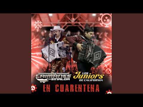 Cada Dia Mas (feat. Caimanes De Sinaloa)
