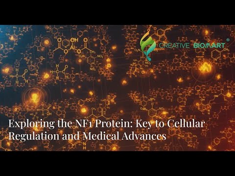 Exploring the NF1 Protein: Key to Cellular Regulation and Medical Advances