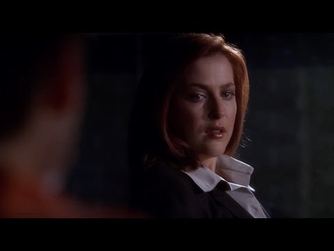 "Agent Scully, isn't it true that you & Mulder were lovers & you got pregnant & had his love child?"