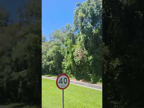 Foz do Iguaçu-PR, Parque Nacional do Iguaçu.