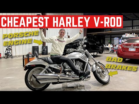 I BOUGHT The CHEAPEST and ROUGHEST Harley-Davidson V-ROD In The COUNTRY