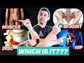 How To Self Diagnose Low Back Pain Sciatica