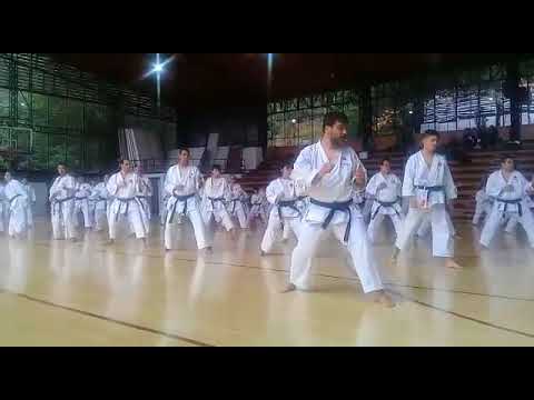 Gasshuku sensei Inoue Colombia abril 2018 - JKA Avanzados