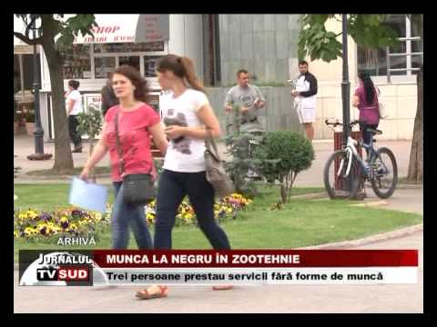 munca la negru in zootehnie
