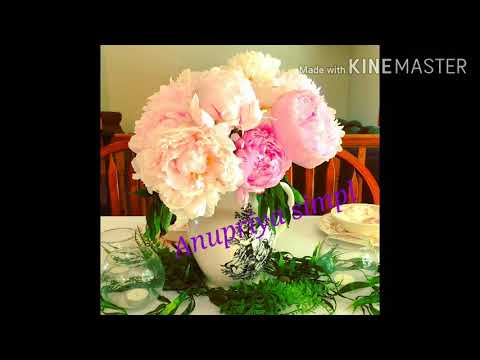 अरदास प्रार्थना विनती 🙏 🙏 🙏 🙏