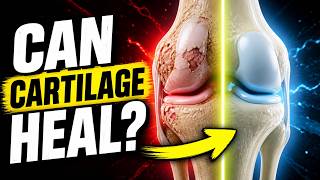 Can Painful Knee Joint Cartilage Heal Even If It's Bone On Bone?