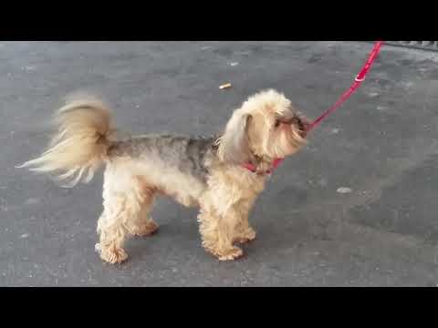 Ich kann nicht mehr: Was nun?