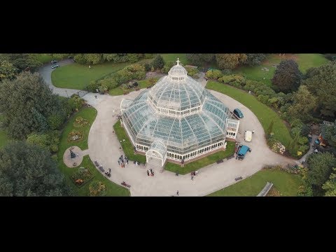 image-Why choose Sefton Park Palm House for your wedding venue?
