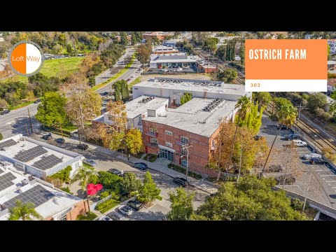 Ostrich Farm unit 217 Loft Video Tour