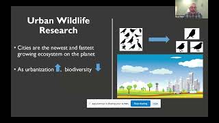 Urban wildlife in a prairie city: The Regina Urban Wildlife Project