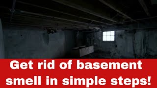 How to Get Rid of Basement Smell [Detailed Guide]