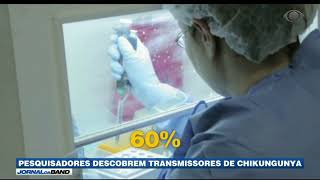 Miniatura do vídeo