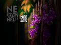 KATRE EN VAASAL VANDHAI WHATSAPPSTATUS ️NEE EN ARUGIL VANTHU NELIYA SONG WHATSAPP STATUS Love Stat