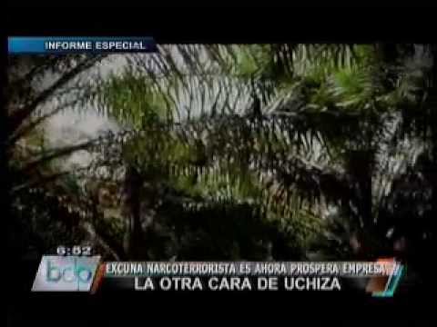 Palma Aceitera beneficia a ex cocaleros en José Carlos Mariátegui Uchiza San Martín | Mass.pe