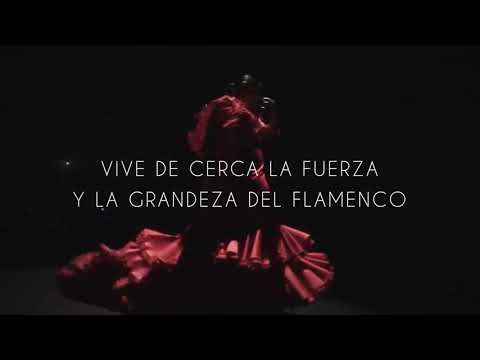 "Emociones": vive la más pura emoción del flamenco del 1 al 30 de septiembre con una entrada para adulto al 31% - Second Medium