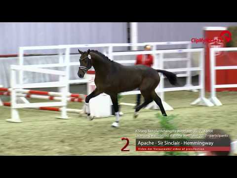 02 Junghengst v. Apache - Sir Sinclair