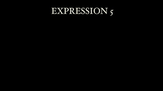 Quentin Miller - Expression 5