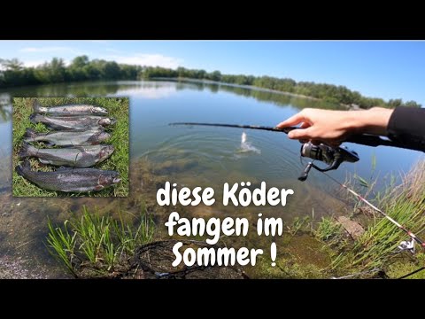 Forellenangeln mit Sbirolino Bodentaster Powerbait Libra Lure Forellenhof Etzel Angeln im Sommer