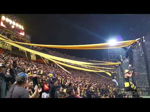 "Hinchada De Peñarol vs Olimpia / Libertadores 2022 / Los Dueños De La Fiesta" Barra: Barra Amsterdam • Club: Peñarol