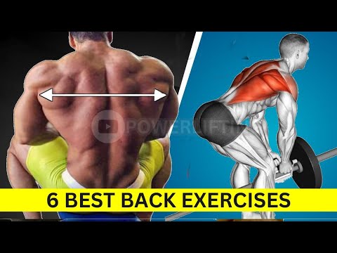6 Exercises To Build Bigger Back - Back Workout At Gym