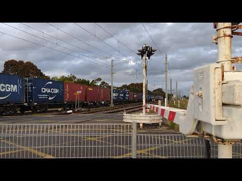 EL60 VL361 and EL62 at champion road level crossing