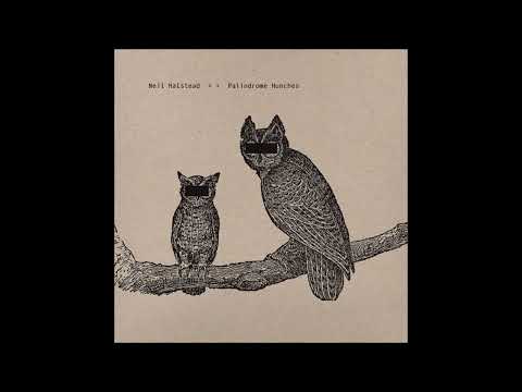 Palindrome Hunches - Neil Halstead