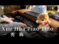 【YI JIAN MEI】Xue Hua Piao Piao | Piano Cover -TG Piano