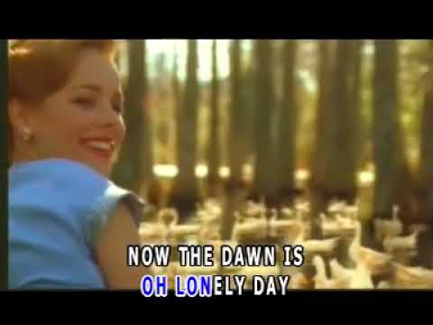 𝗩𝗔𝗬𝗔 𝗖𝗢𝗡𝗗𝗜𝗢𝗦 || 𝗖𝗶𝗽𝘁. 𝗟𝗮𝗿𝗿𝘆 𝗥𝘂𝘀𝘀𝗲𝗹, 𝗜𝗻𝗲𝘇 𝗝𝗮𝗺𝗲𝘀, 𝗕𝘂𝗱𝗱𝘆 𝗣𝗲𝗽𝗽𝗲𝗿 || 𝗪𝗶𝗹𝘀𝗼𝗻 𝗪𝗮𝗻𝗱𝗮 || #lagubarat #papua