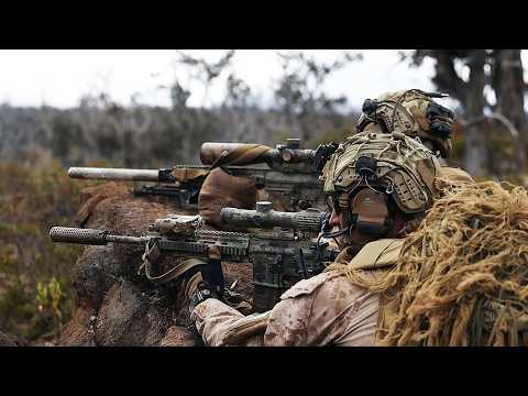 U.S. Marines Conduct Live-Fire Company Attacks (Feb 2026)