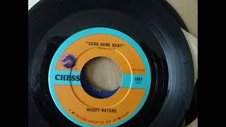 Muddy Waters Come Home Baby