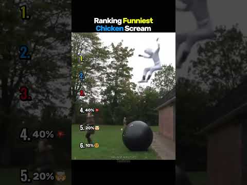 Ranking Funniest Chicken Scream😂