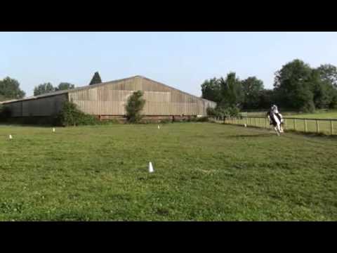 BE90 dressage test 95