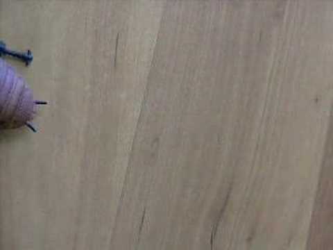 Le Cockroach Odyssey