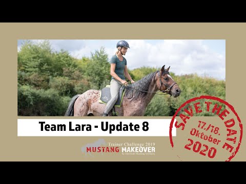 Mustang Makeover 2020 Team Lara (TAG 5172) - Update 5