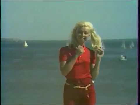 JANY L -  LE RESTAURANT CHINOIS