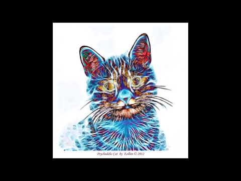 Polar Energy - Euphoria