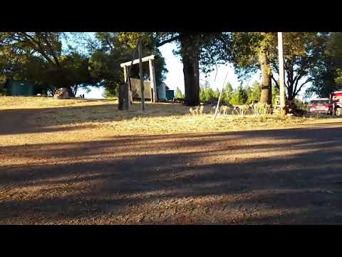 Feeding the Firefighters from the Sonoma Fires