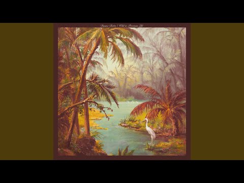 Forrest Lane - Duane Betts