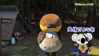 【野洲のおっさんぽ】滋賀里の古墳 その１【百穴古墳群】