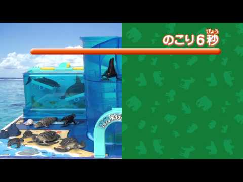 アニア アニアクイズ うみ編