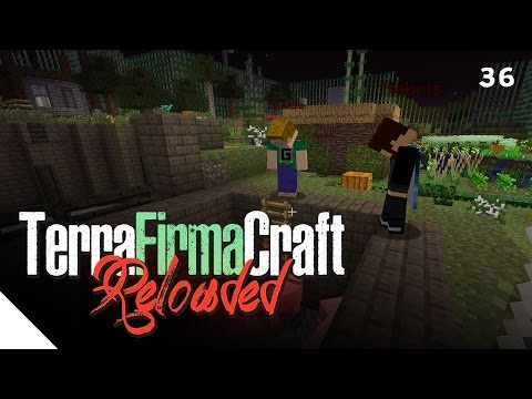 "Stenographer" :: TerraFirmaCraft Reloaded - Episode 36